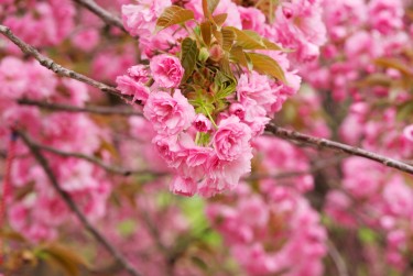 南通崇川区线下个人借款平台一站式服务，轻松解决资金难题