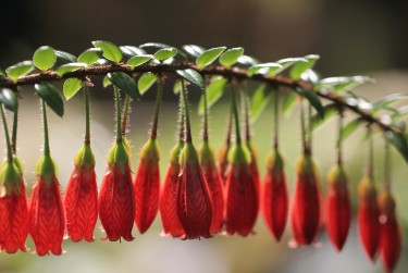 南通崇川区零用贷短借：轻松解决临时资金需求