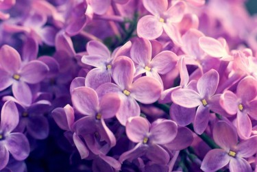 南通崇川区企业急用钱贷款攻略：快速融资解燃眉之急